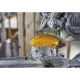 Акумуляторна пила торцювальна DeWALT DCS727T2 (2х54 В, 2 А*ч, 250 мм)