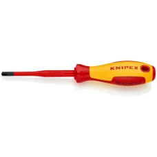 Викрутка Knipex Pozidriv PZ2 (98 25 02 SLS)