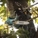 Пила цепная аккумуляторная Makita DUC256PT2 + дрель-шуруповерт Makita DDF453RFE (4 АКБ, ЗУ, кейс)