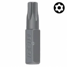 Бита TOPTUL TORX T10 25 мм с отверстием (FSGA0810)